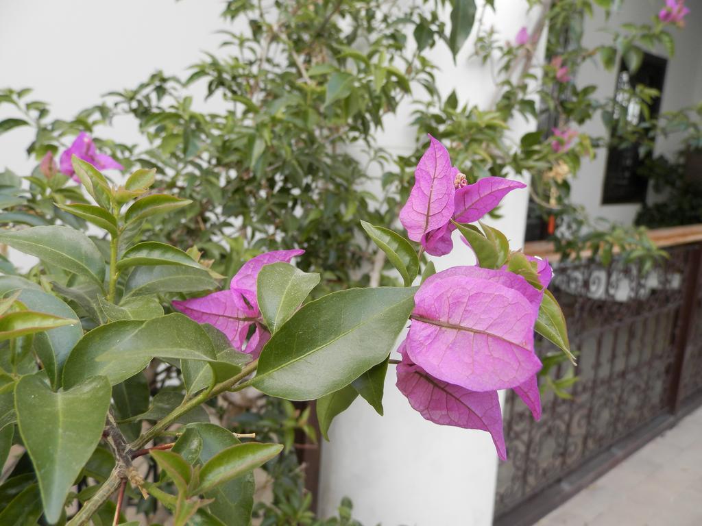 Riad Ailen Marrakesh Exterior photo